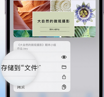 伊通apple维修中心分享iPhone文件应用中存储和找到下载文件