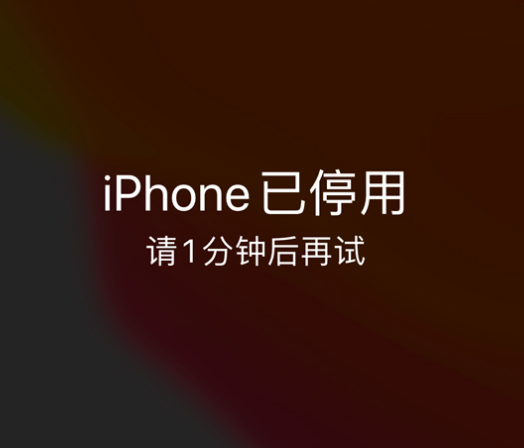 伊通苹果手机维修分享:iPhone 显示“不可用”或“已停用”怎么办？还能保留数据吗？ 