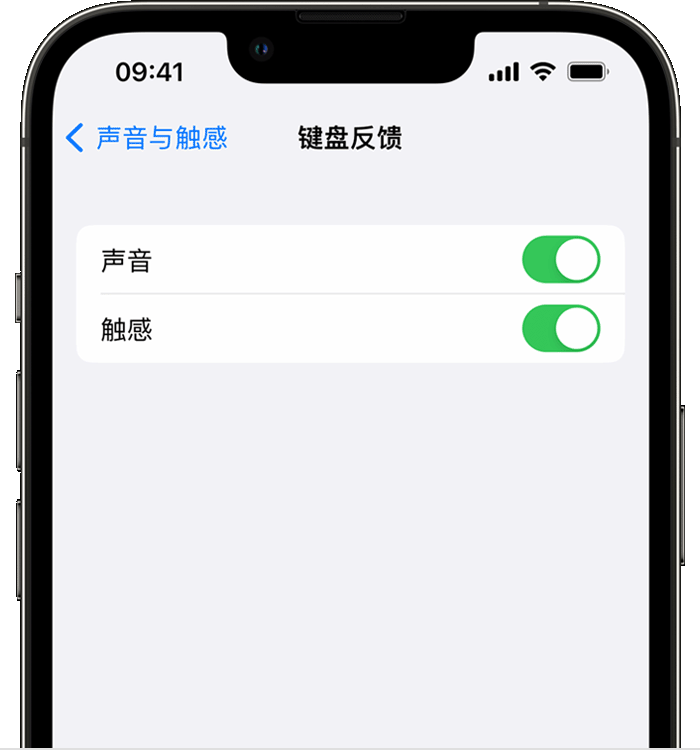 伊通苹果14维修店分享如何在 iPhone 14 机型中使用触感键盘 