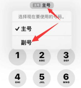 伊通苹果14维修店分享iPhone 14 Pro Max使用副卡打电话的方法 