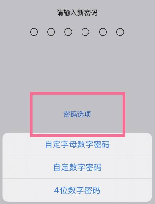 伊通苹果14维修分享iPhone 14plus设置密码的方法 