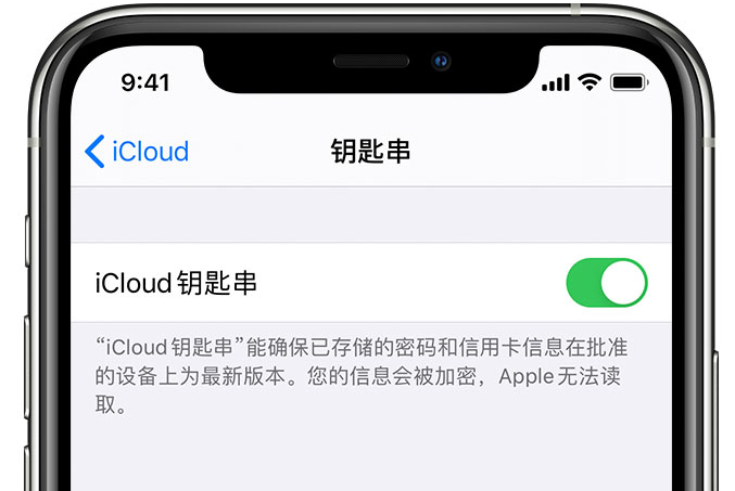 伊通苹果手机维修分享在 iPhone 上开启 iCloud 钥匙串之后会储存哪些信息 