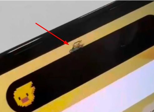伊通苹果14维修分享iPhone 14 Pro Max灵动岛怎么养宠物 