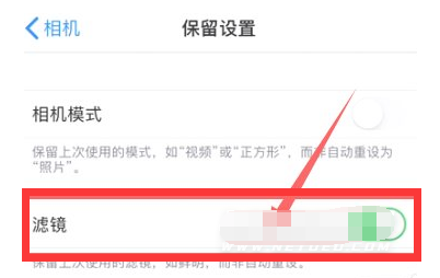 伊通苹果13维修分享iPhone13拍照有绿点是怎么回事 