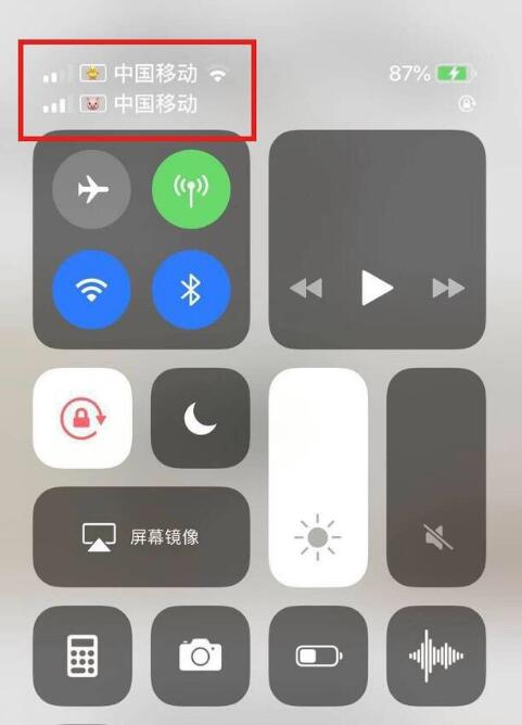 伊通苹果手机维修分享为 iPhone 12 双卡设置标签 