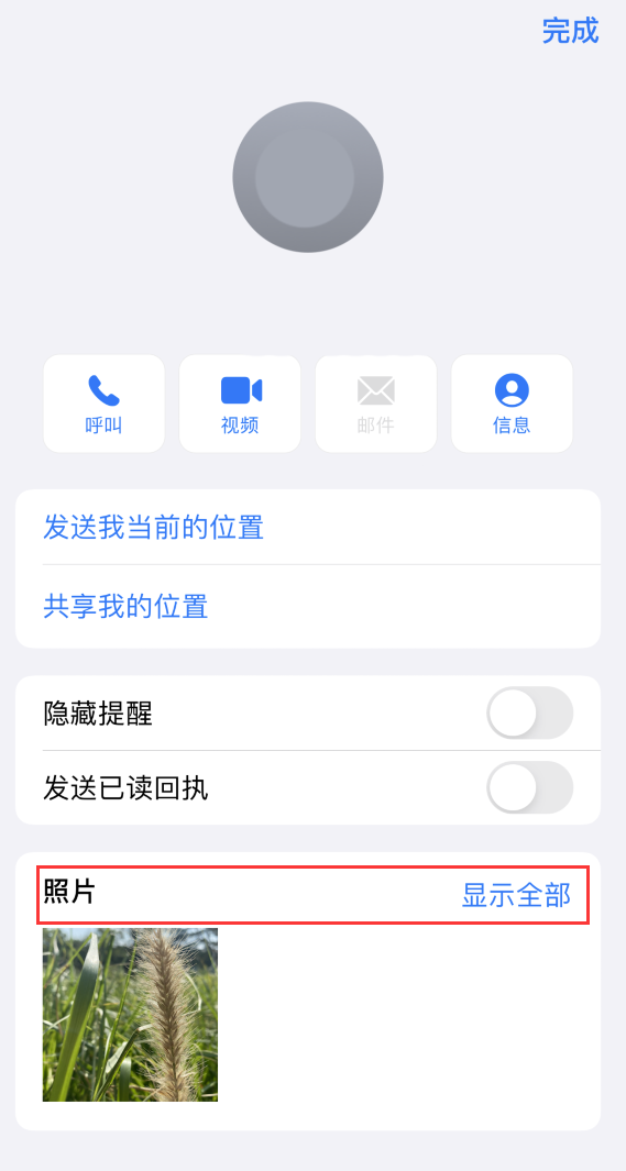 伊通苹果手机维修分享如何快速查找 iMessage 信息中的图片等附件 