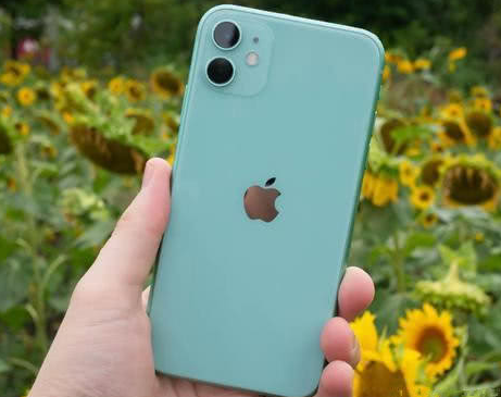 伊通苹果维修点分享iPhone 11锁屏密码认知与使用科普 